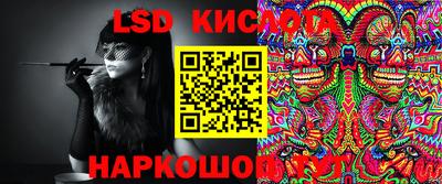 молекула духа Будённовск