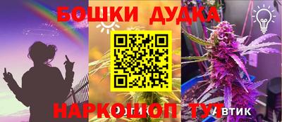 молекула духа Будённовск