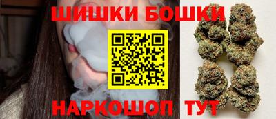 молекула духа Будённовск