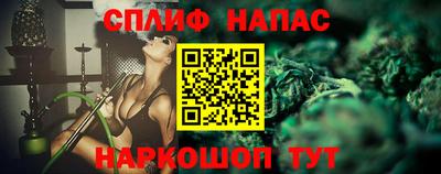 молекула духа Будённовск