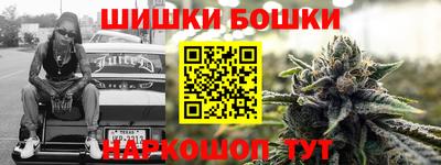 молекула духа Будённовск