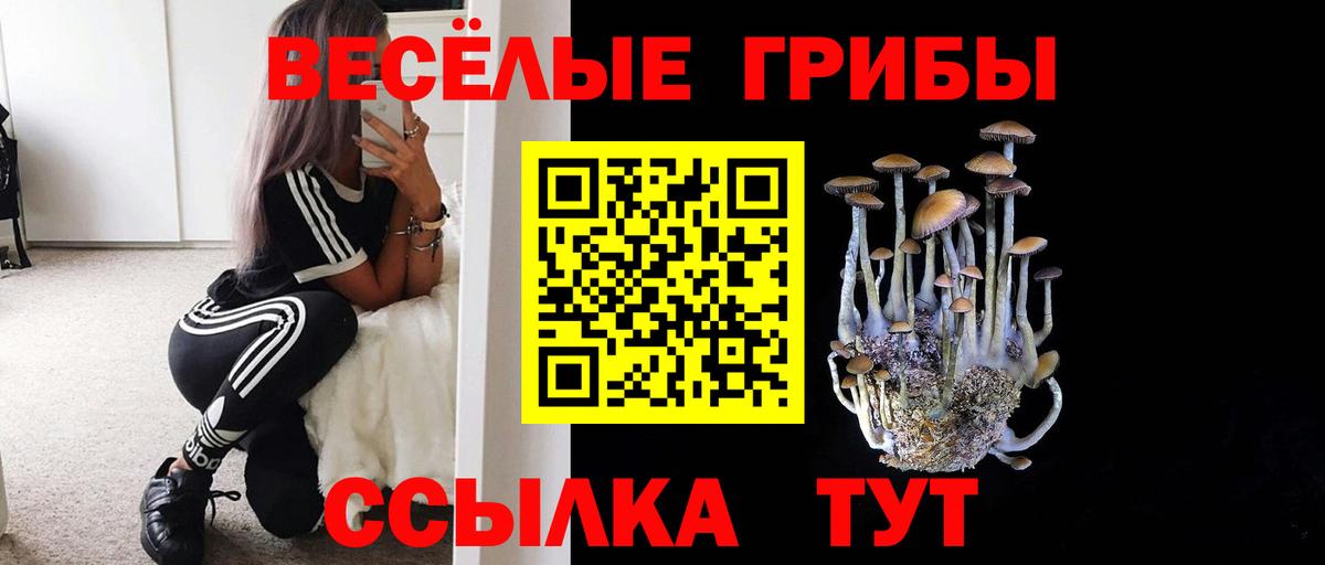 Псилоцибиновые грибы мухоморы Севастополь